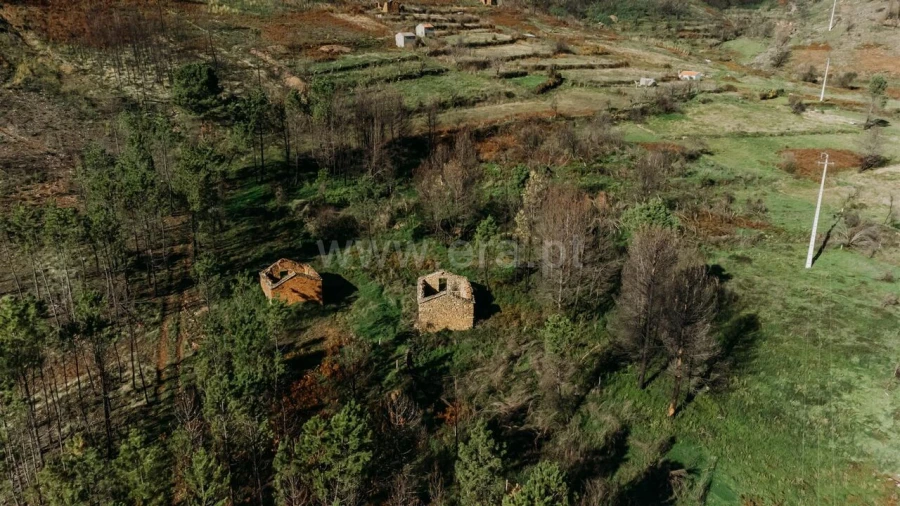 Moradia T1 para Venda em Verdelhos Foto 3