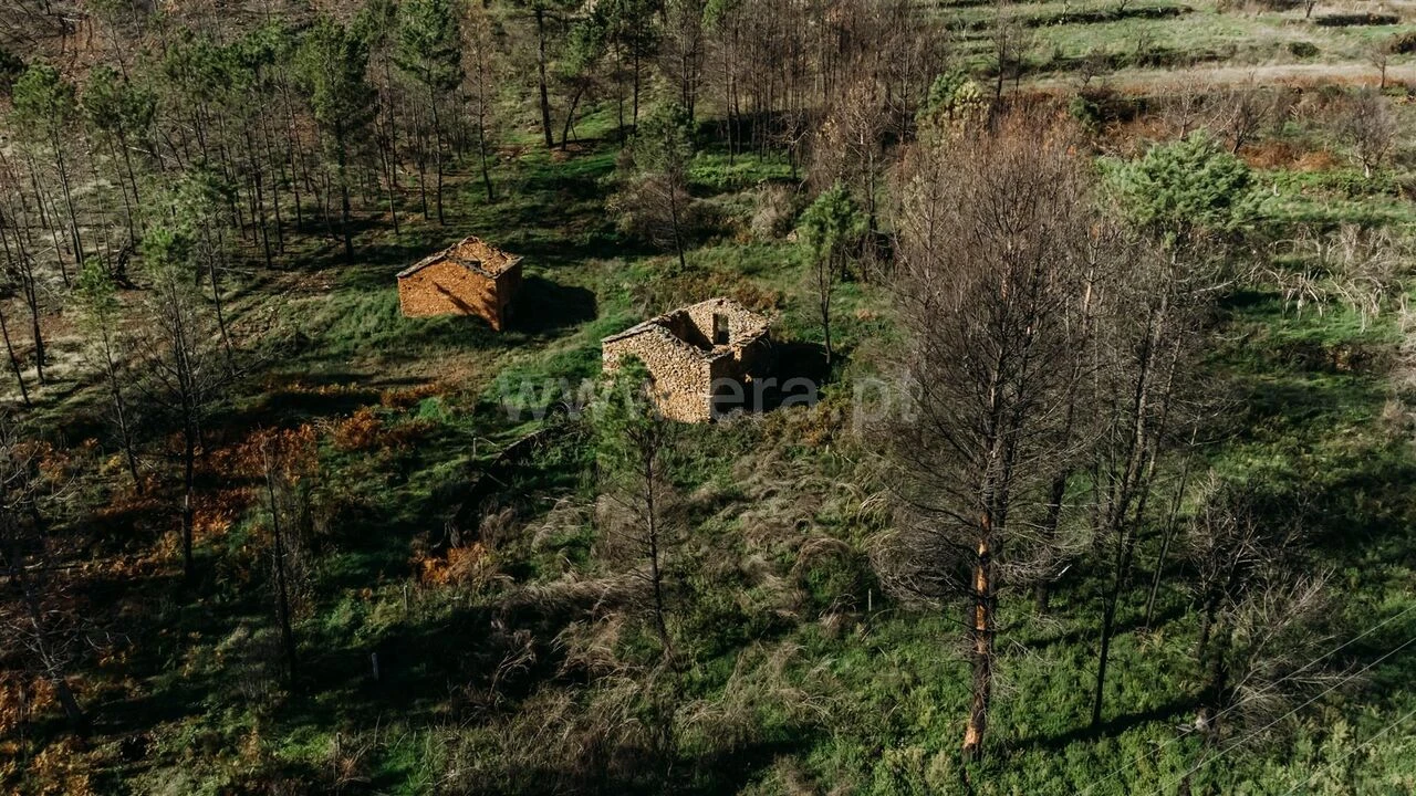 Moradia T1 para Venda em Verdelhos Foto 1