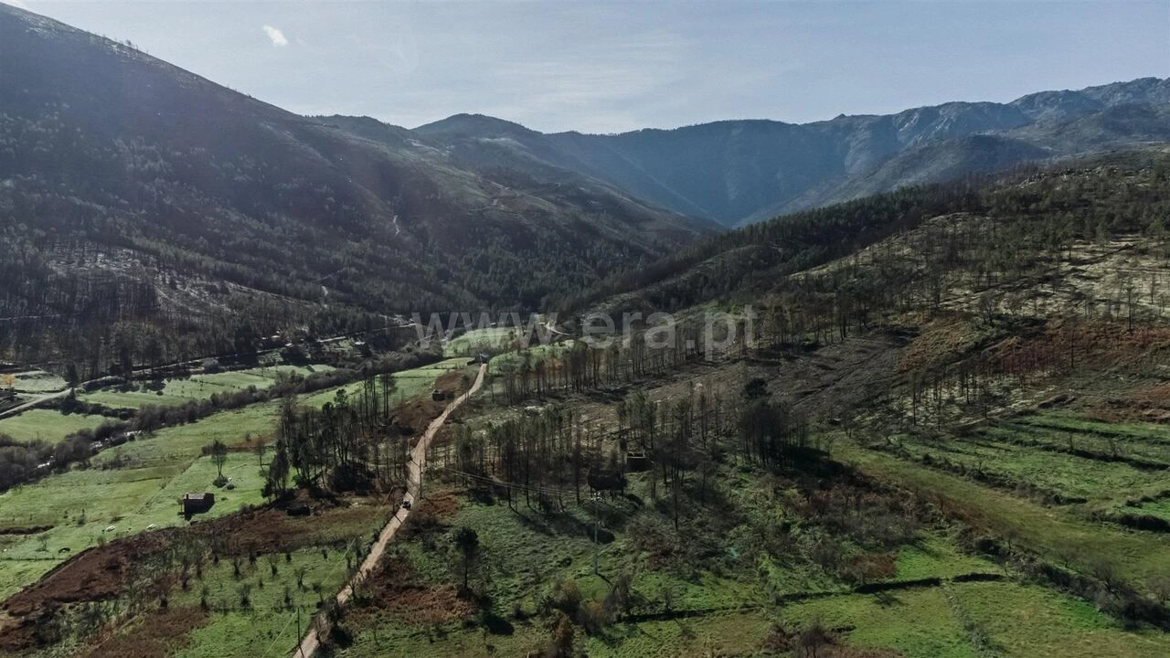 Moradia T1 para Venda em Verdelhos Foto 10