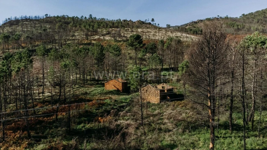 Moradia T1 para Venda em Verdelhos