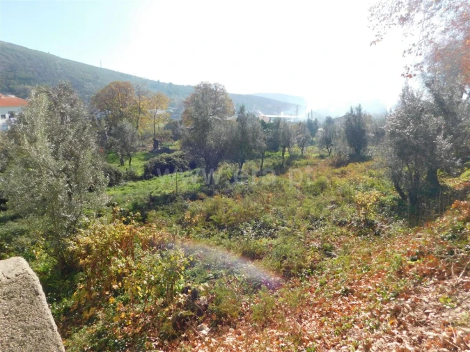 Terreno para Venda em Unhais da Serra Foto 4