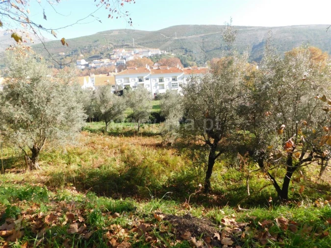 Terreno para Venda em Unhais da Serra Foto 3