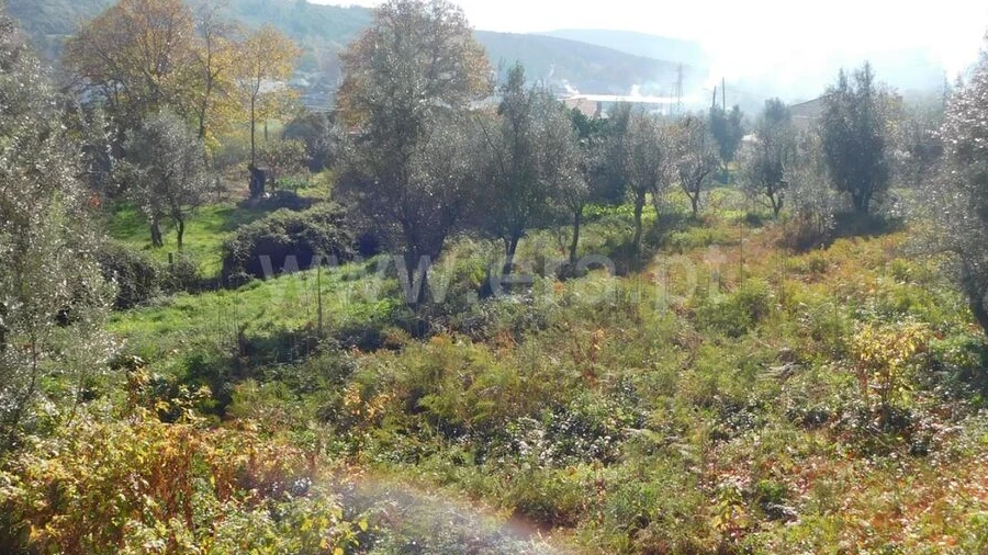 Terreno para Venda em Unhais da Serra