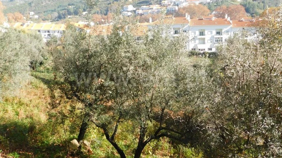 Terreno para Venda em Unhais da Serra