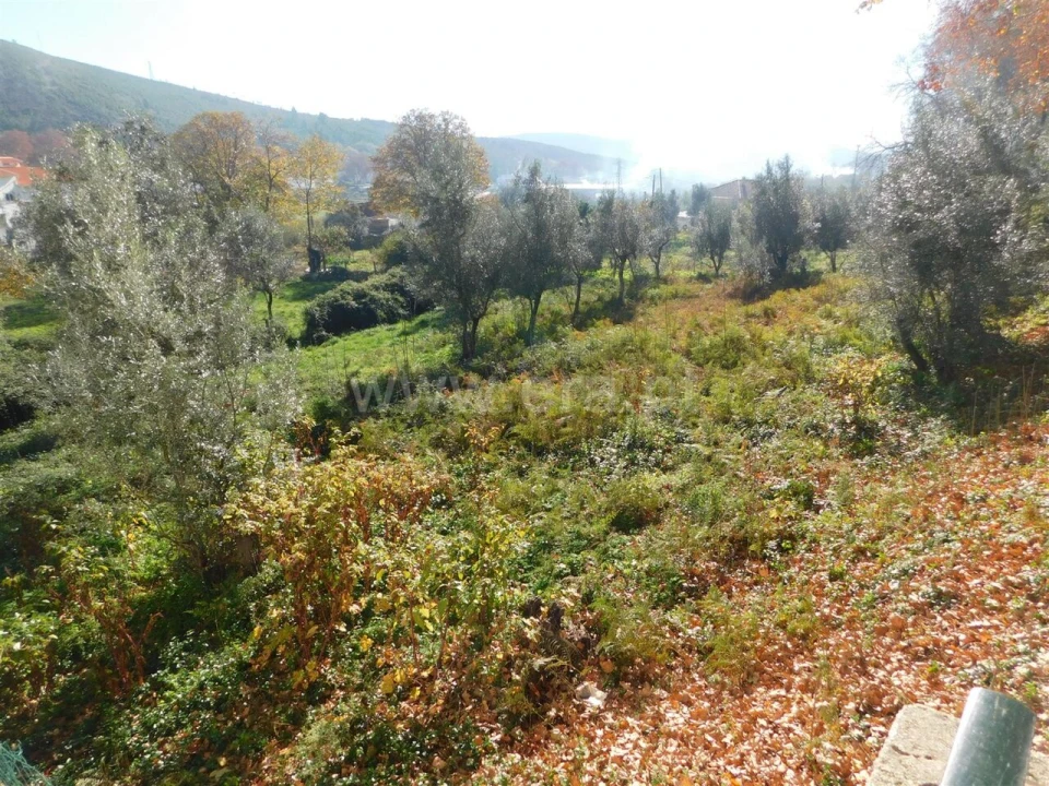 Terreno para Venda em Unhais da Serra Foto 5