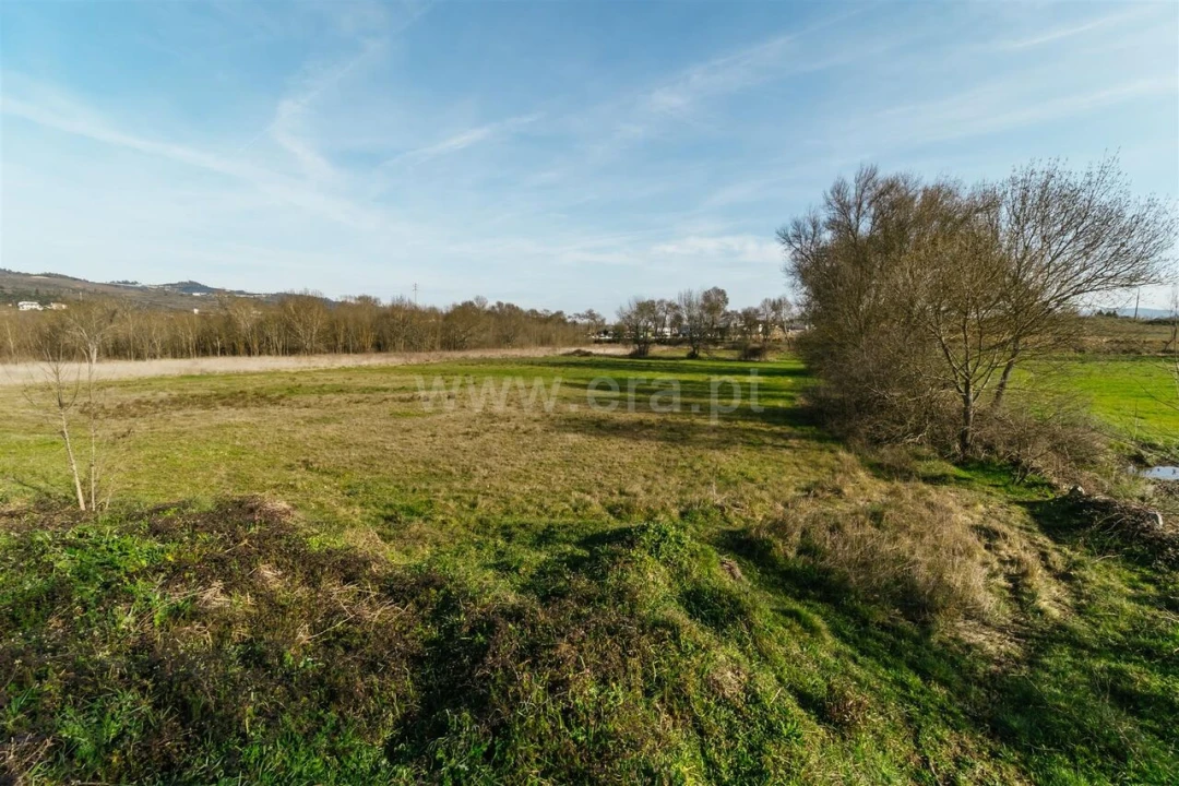 Terreno para Venda em Alcaria Foto 3