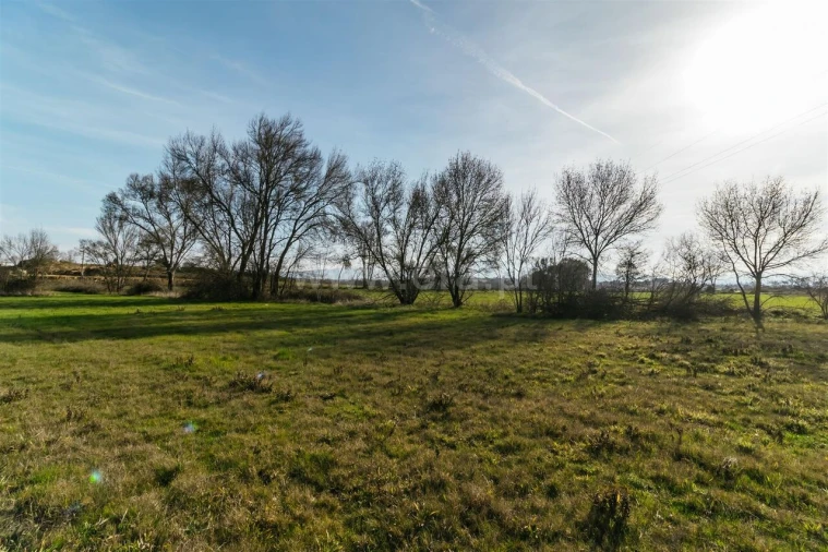 Terreno para Venda em Alcaria Foto 1