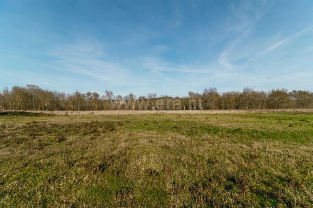 Terreno para Venda em Alcaria Foto 4