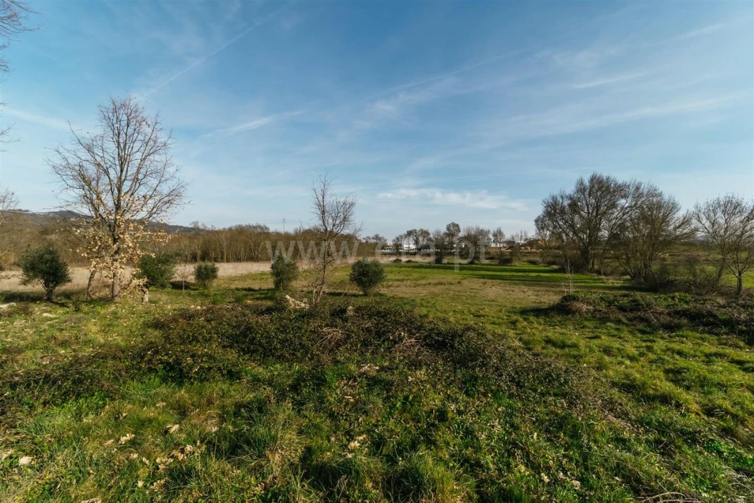 Terreno para Venda em Alcaria Foto 5