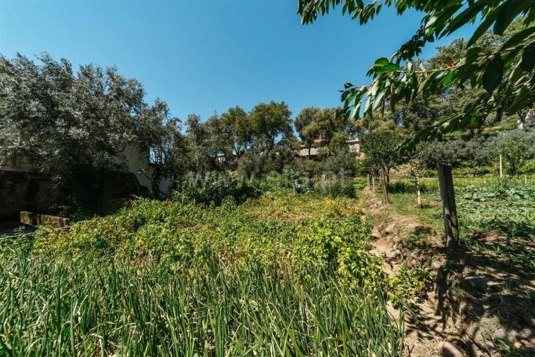 Terreno para Venda em Unhais da Serra Foto 6