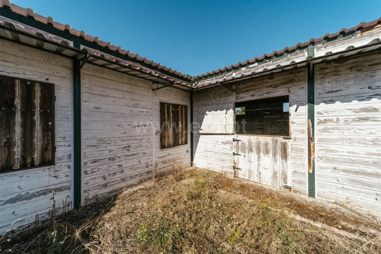 Terreno para Venda em Caria Foto 19