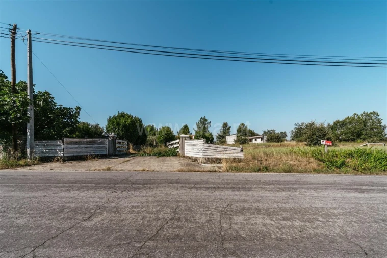 Terreno para Venda em Caria Foto 14