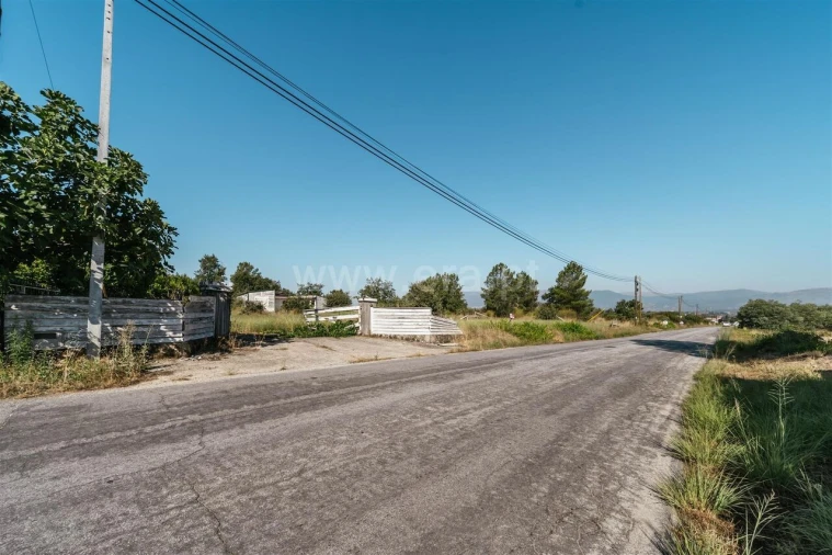 Terreno para Venda em Caria Foto 15