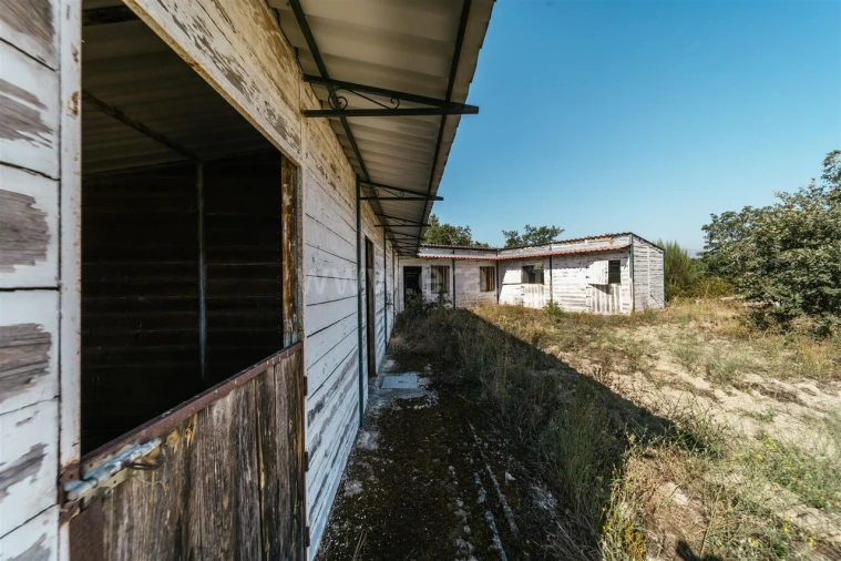 Terreno para Venda em Caria Foto 17