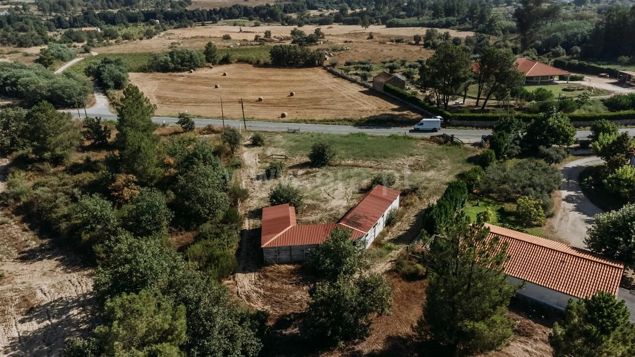 Terreno para Venda em Caria Foto 7