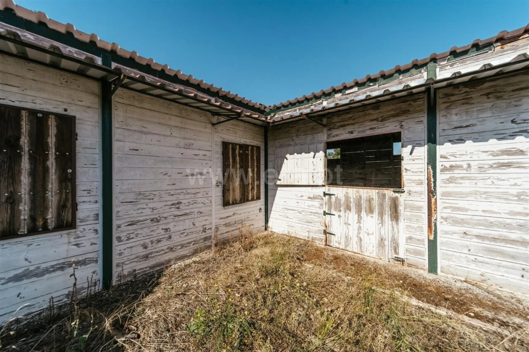 Terreno para Venda em Caria Foto 19