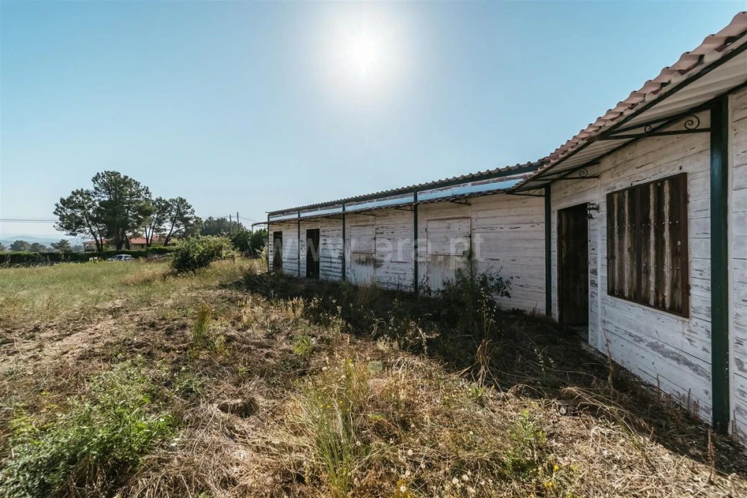 Terreno para Venda em Caria Foto 20