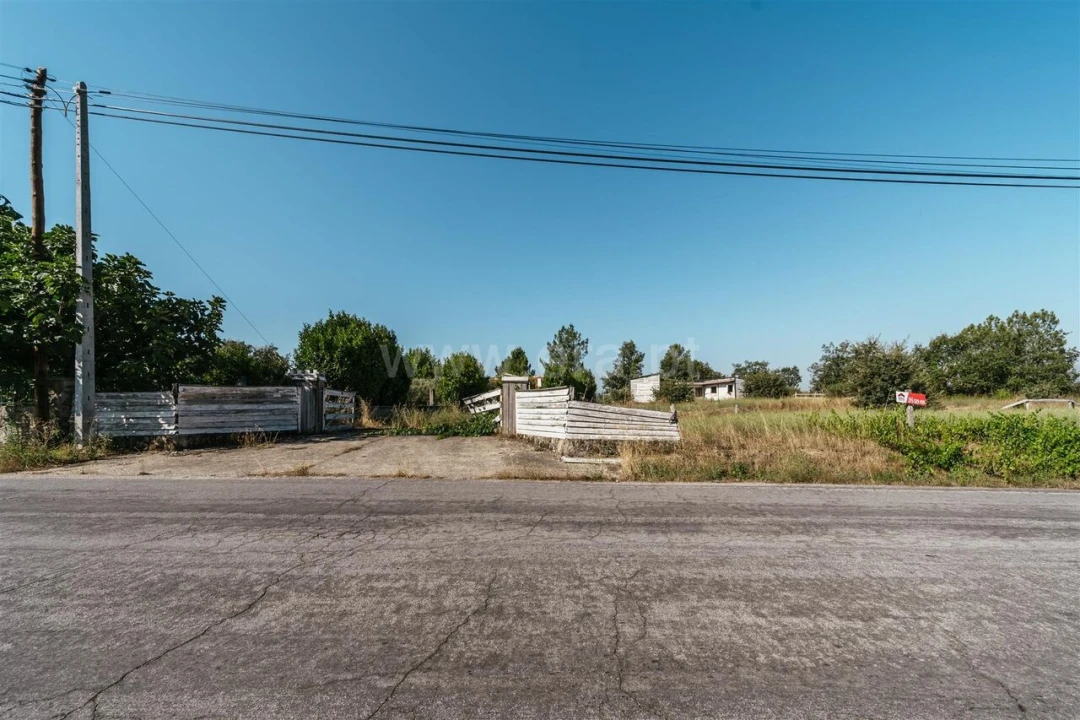 Terreno para Venda em Caria Foto 14