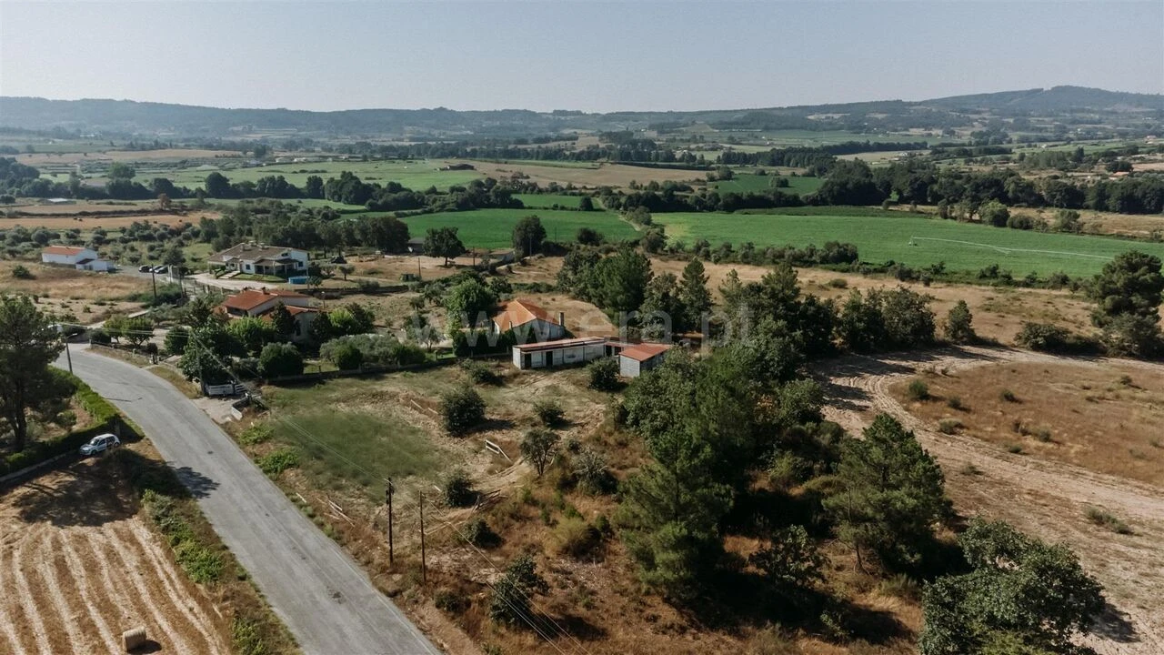Terreno para Venda em Caria Foto 6