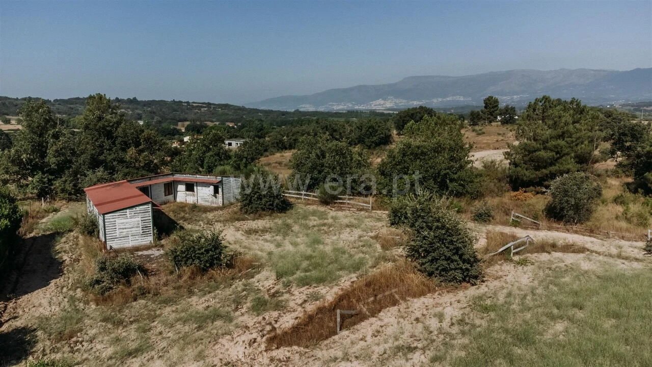 Terreno para Venda em Caria Foto 8