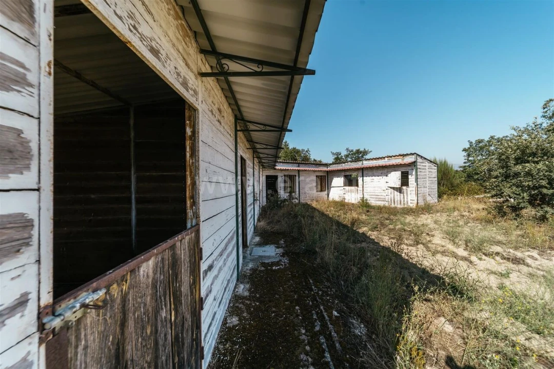 Terreno para Venda em Caria Foto 17
