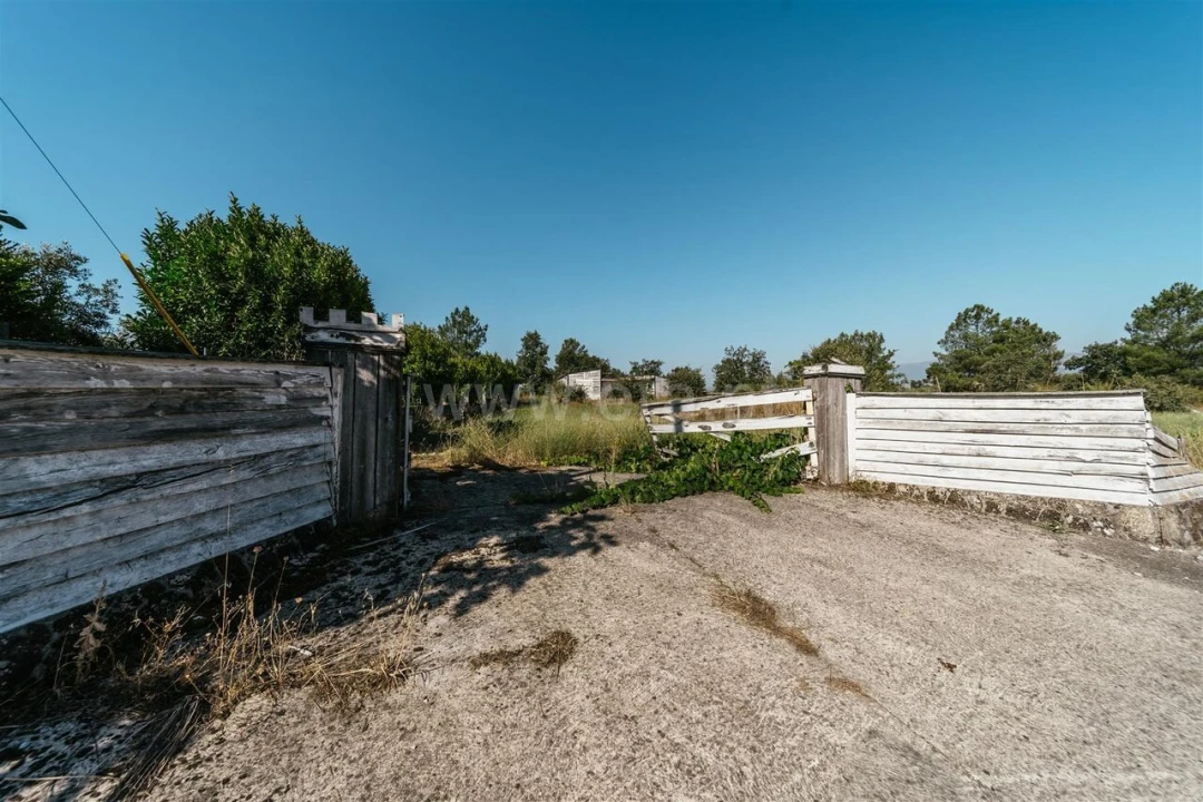 Terreno para Venda em Caria Foto 16
