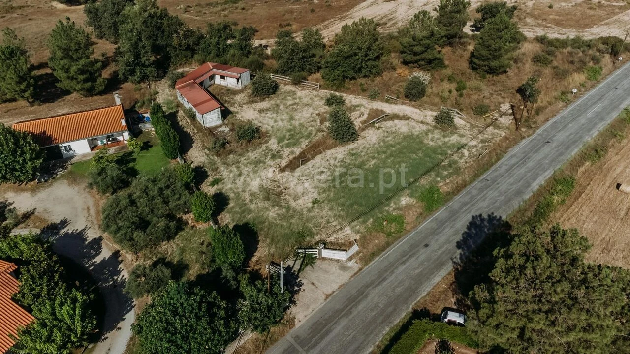 Terreno para Venda em Caria Foto 10