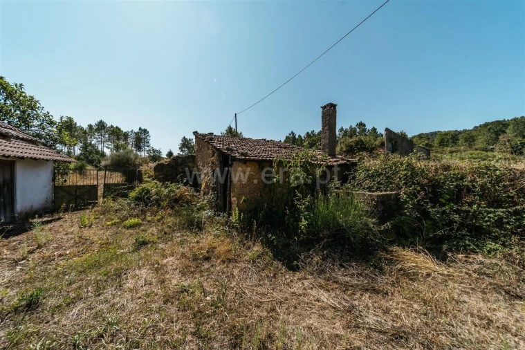 Quinta T3 para Venda em Peraboa Foto 12