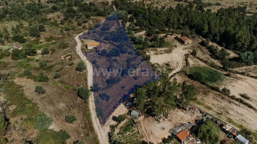 Quinta T3 para Venda em Peraboa Foto 14