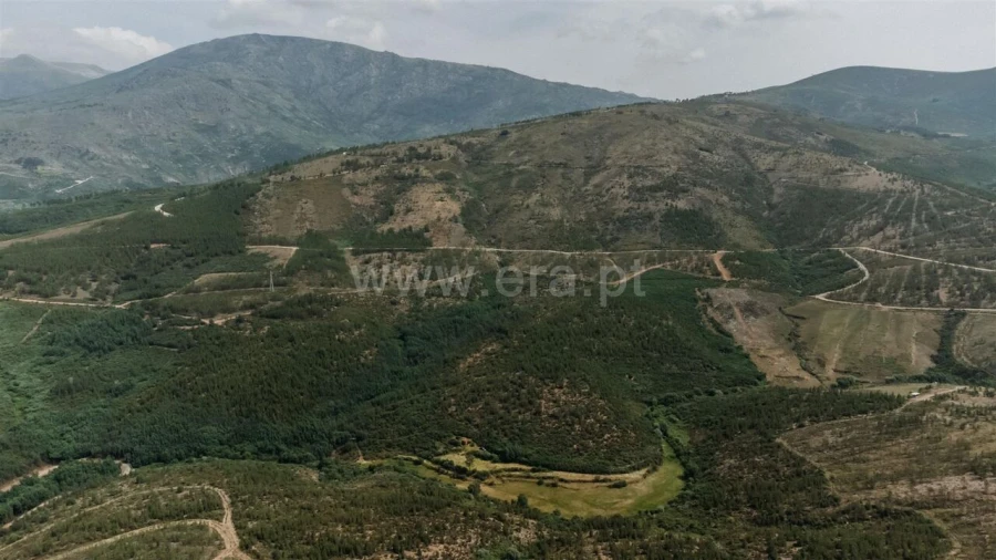 Quinta T0 para Venda em Cortes do Meio Foto 8