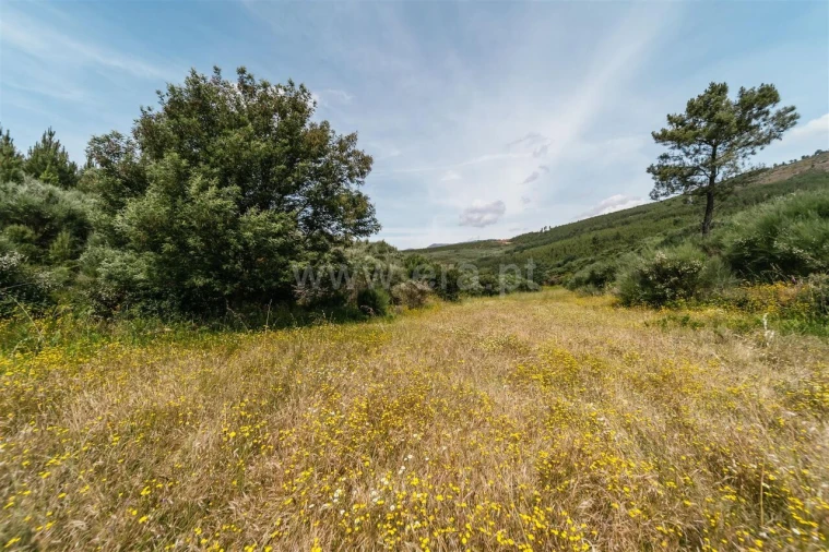 Quinta T0 para Venda em Cortes do Meio Foto 3