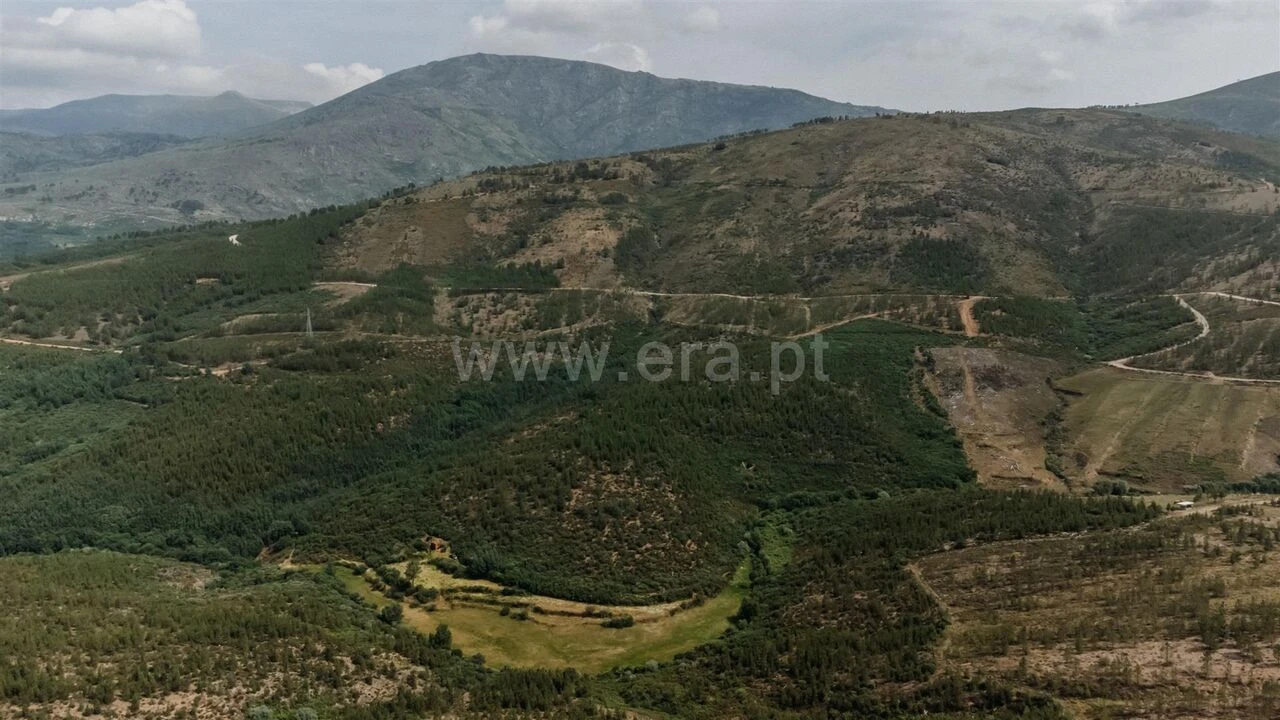 Quinta T0 para Venda em Cortes do Meio Foto 9