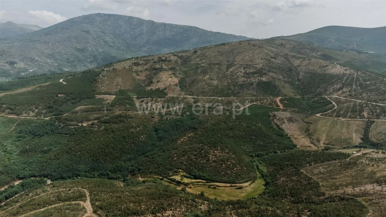 Quinta T0 para Venda em Cortes do Meio Foto 8