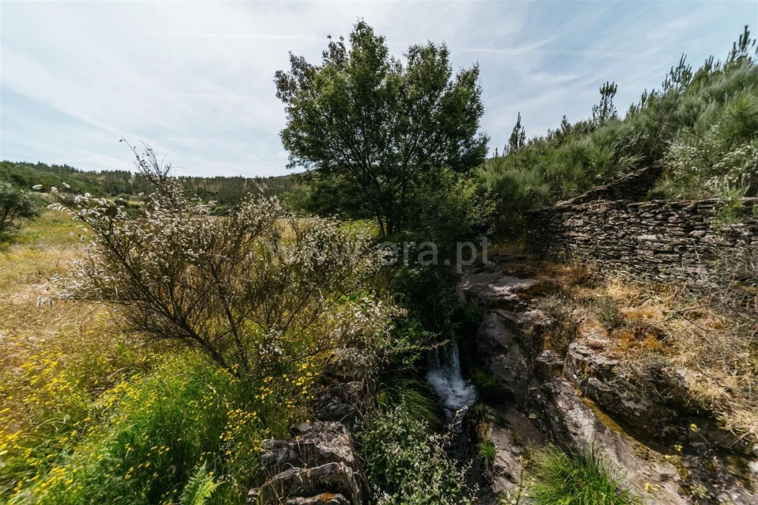 Quinta T0 para Venda em Cortes do Meio Foto 1