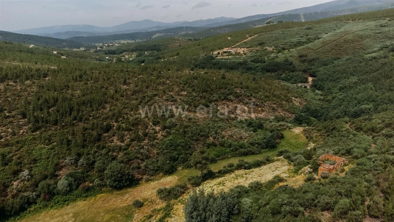 Quinta T0 para Venda em Cortes do Meio Foto 10