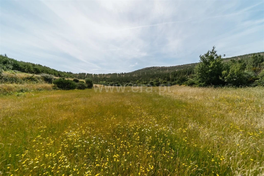 Quinta T0 para Venda em Cortes do Meio Foto 4