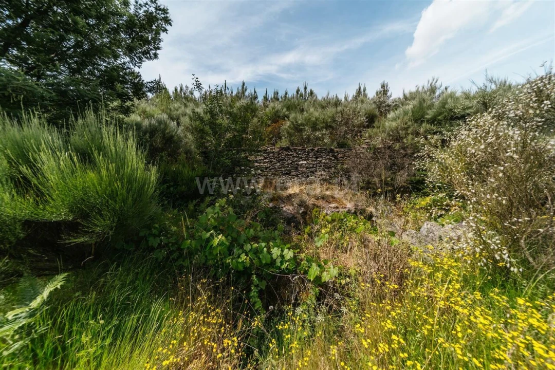 Quinta T0 para Venda em Cortes do Meio Foto 2