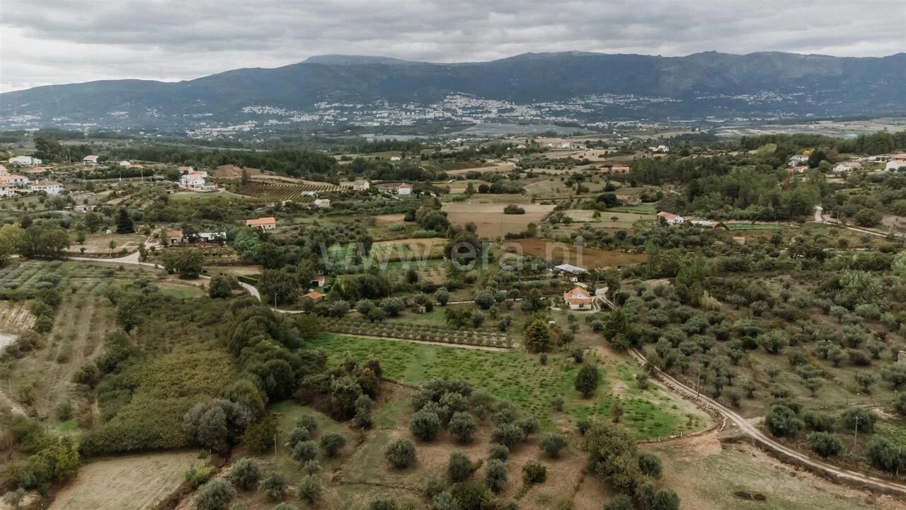 Terreno para Venda em Ferro Foto 8