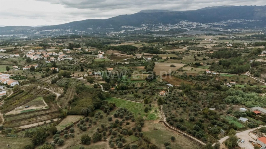 Terreno para Venda em Ferro Foto 5
