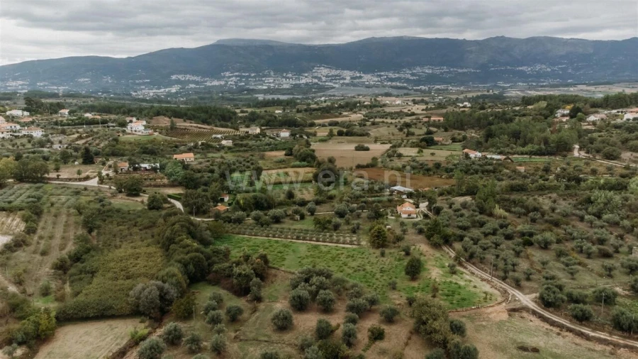 Terreno para Venda em Ferro Foto 8