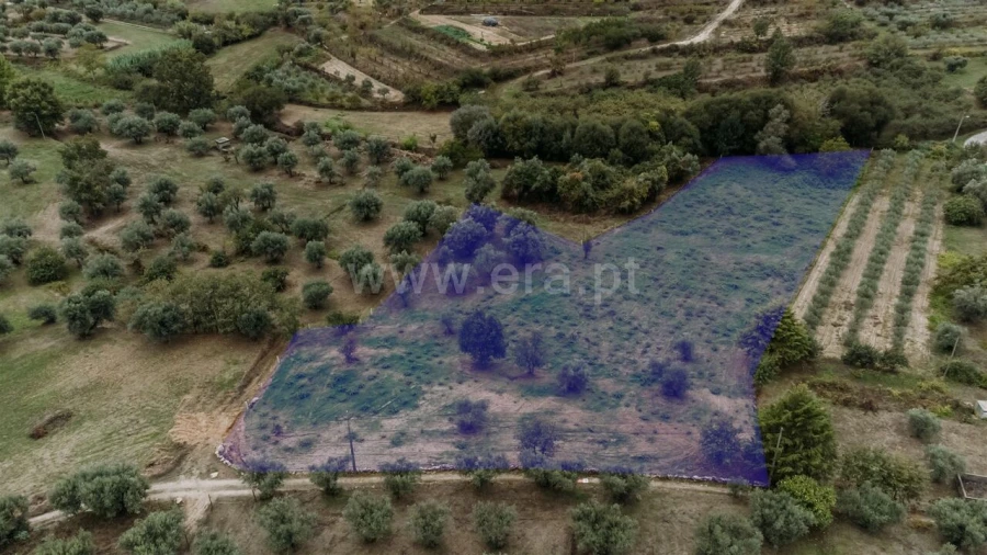 Terreno para Venda em Ferro Foto 1