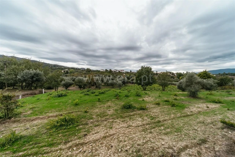 Terreno para Venda em Ferro Foto 14