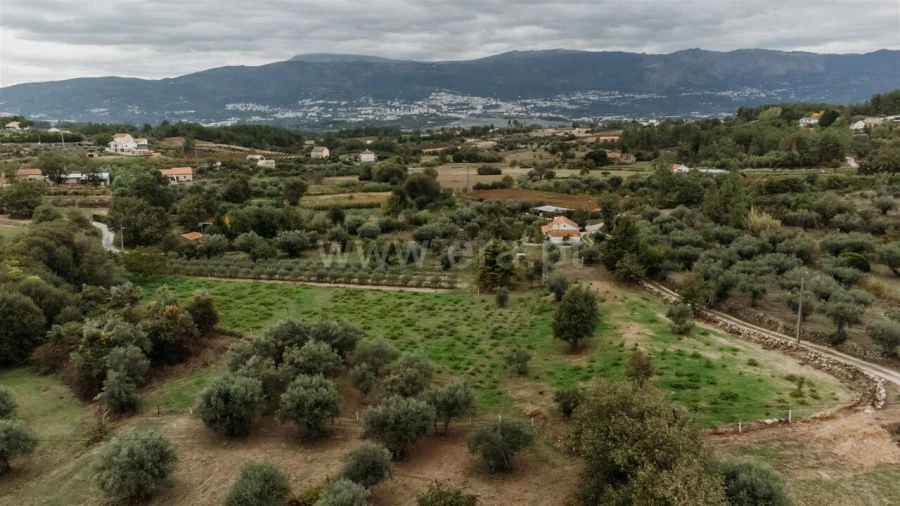 Terreno para Venda em Ferro Foto 10