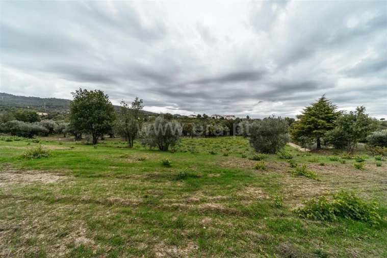 Terreno para Venda em Ferro Foto 11