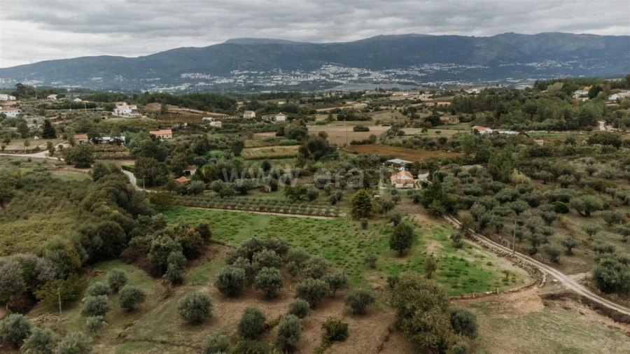 Terreno para Venda em Ferro Foto 9