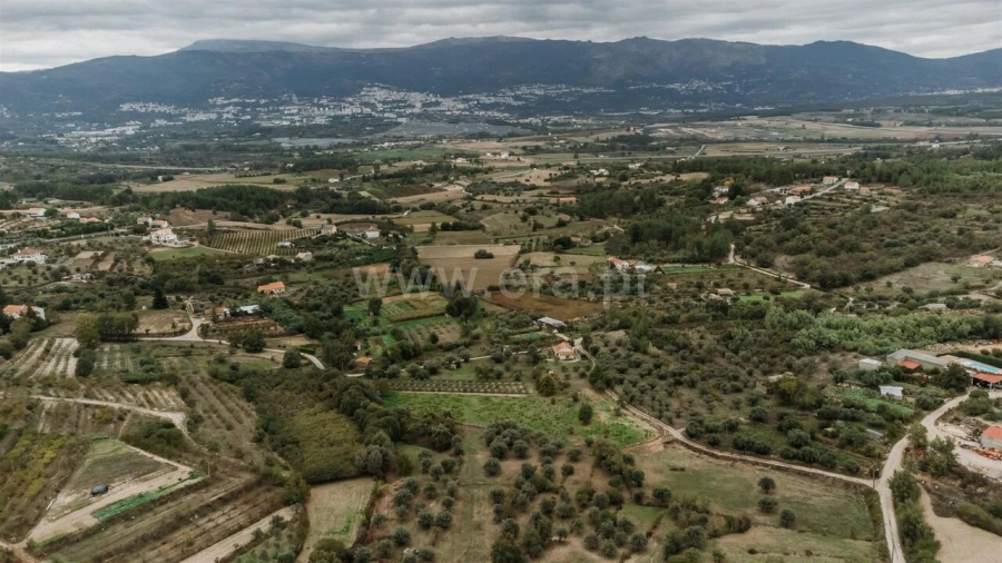 Terreno para Venda em Ferro Foto 6