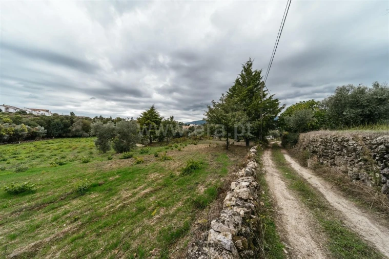 Terreno para Venda em Ferro Foto 12
