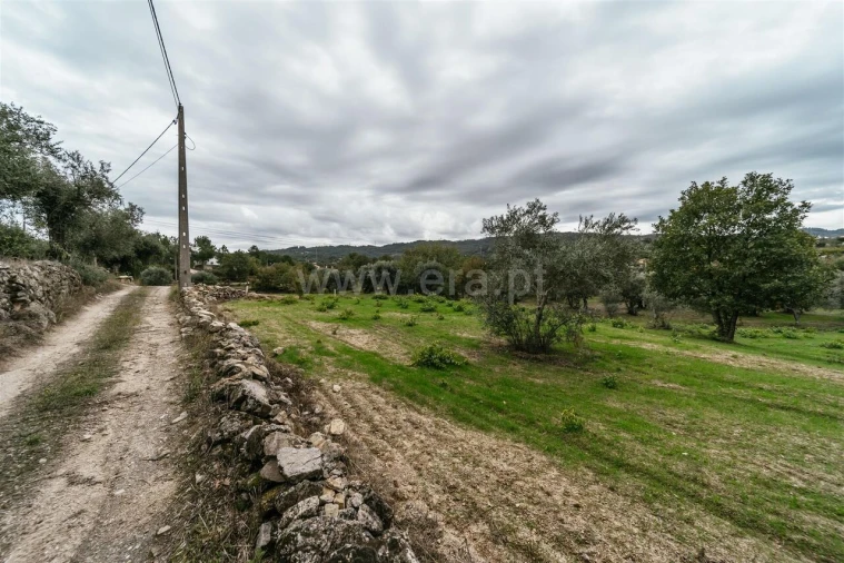 Terreno para Venda em Ferro Foto 15