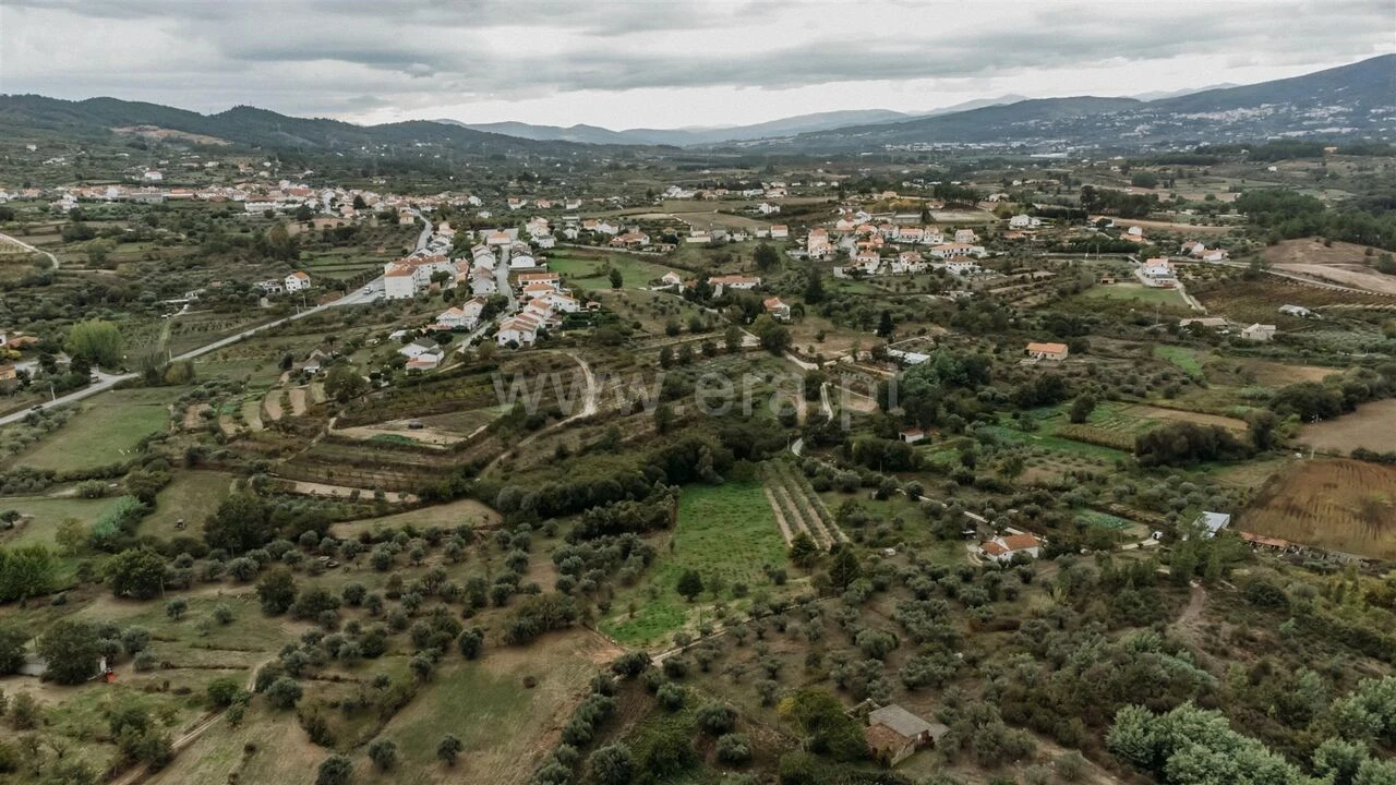 Terreno para Venda em Ferro Foto 4