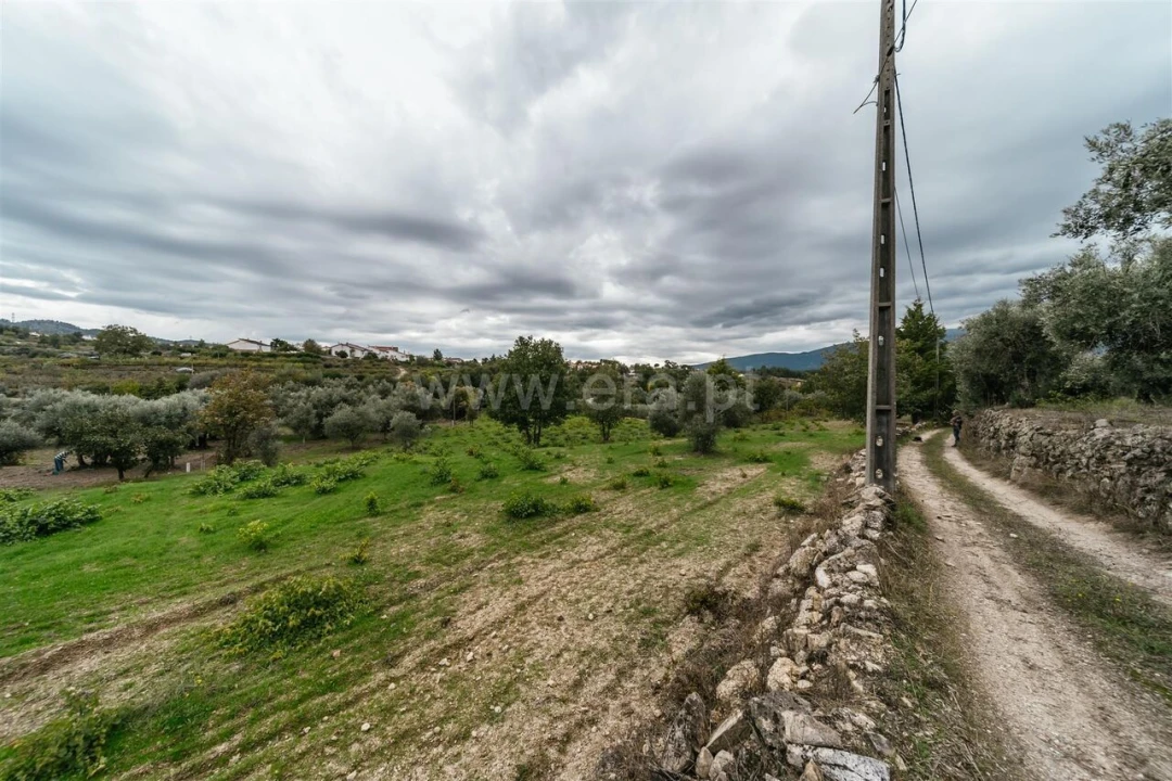 Terreno para Venda em Ferro Foto 13